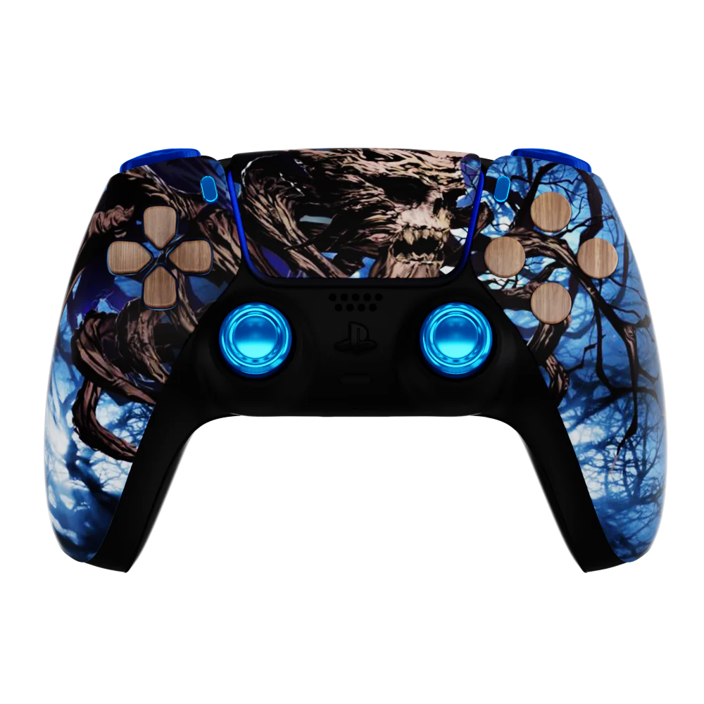 Custom PS5 Controllers